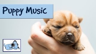 Soft Music for Puppies  Calm Down Your Puppy [upl. by Etnoled]