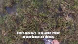 Chasse petit gibier  Tir pigeon lapin et corbeau  Go Pro Hero 3 [upl. by Lyndy]