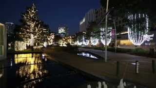 CHRISTMAS ILLUMINATION TOKYO 2013 [upl. by Sanez]