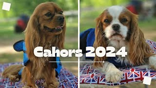 DOG SHOW  Cahors 2024  Cavalier King Charles [upl. by Akinehs218]