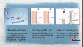 MICRODIALYSIS [upl. by Anauj]