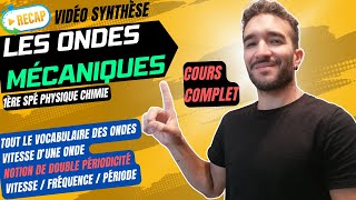 1ère SPÉ PHYSIQUE ONDES MÉCANIQUES  NOTIONS LES  IMPORTANTES  VIDEO SYNTHÈSE  COURS COMPLET [upl. by Ostraw]