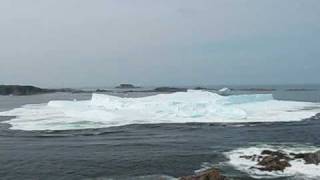 Iceberg Foundering July 4 2009 Twillingate Newfoundland [upl. by Imaon]