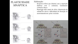 NEUROPLASTICIDADE [upl. by Francene]