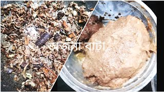 Vajnachak  ভাজনাছাঁক রান্নার স্বাদকে বাড়িয়ে দেয় অনেক গুণ। [upl. by Clorinde]