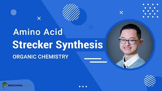 Strecker Synthesis of Amino Acids  MCAT Organic Chemistry Prep [upl. by Enyehc886]