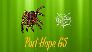 Poradnik Tibia  Giant Spider Port Hope Summer Update 2015  GS Task [upl. by Medarda]