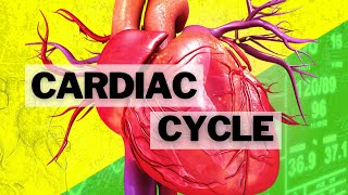 The Cardiac Cycle [upl. by Hjerpe]