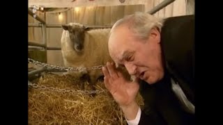 King of the Sheep Festival  Father Ted S3 E2  Absolute Jokes [upl. by Vaden956]