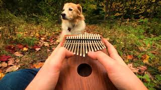 Cant Help Falling In Love on a Kalimba  YouTube Music [upl. by Hank]