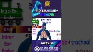 간호조무사 취업 대비 의학용어 기초 강의 국제알버트슈바이처재단 인증 수료증까지 [upl. by Leiser]