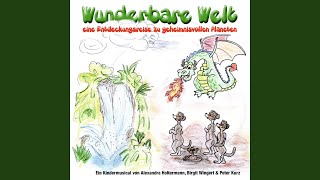 Wunderbare Welt SternenRap Lied [upl. by Ursa]