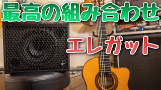 最近導入した機材を紹介します🎸 エレガットのアース解決❗Udo Roesner Amps Da Capo 75  Cordoba 55FCE [upl. by Busey]