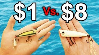 CHEAP Popper Vs EXPENSIVE Popper  Fishing Challenge [upl. by Simonsen]