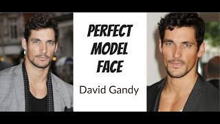 What makes David Gandys FACE perfect [upl. by Manno]