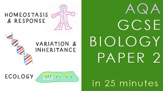 All of AQA BIOLOGY Paper 2 in 25 minutes  GCSE Science Revision [upl. by Erasme]