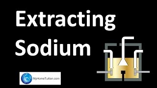 Extraction of Sodium  Redox Equilibrium [upl. by Constant]