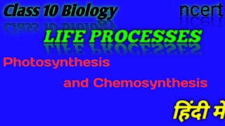 Life Processesclass 10 SciencePhotosynthesis and Chemosynthesis [upl. by Bonilla]