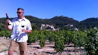 Gigondas Red Wine Blends Southern Rhone France  Know Wine In No Time [upl. by Tomkin]