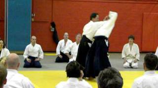 Aikido Sensei Peter Bernath Shihan  2009 Canada Montreal  4 Techniques [upl. by Reyem]