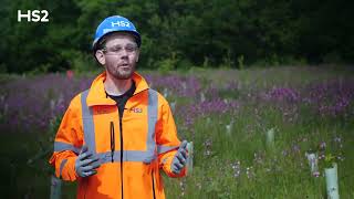 HS2’s new Warwickshire wildlife habitats spring into life [upl. by Rosio]