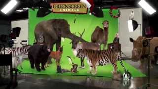 GreenScreen Animals Holiday Greeting [upl. by Meekahs]