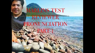 MARLINS TEST REVIEWER FOR SEAFARERS [upl. by Haldi]