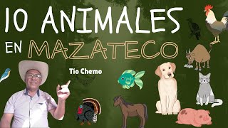 10 Animales en Mazateco Tío Chemo [upl. by Charmaine]