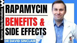 Rapamycin  Dr David Sinclair Interview Clips [upl. by Blas]