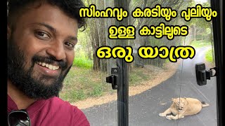 Bannerghatta biological park  Forest Safari  Travel With Nidhin [upl. by Gnes414]