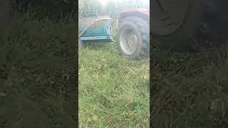 Massey Ferguson 35 versus 555 [upl. by Odlanra]