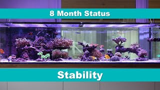 8 Month Status Stability [upl. by Aihtyc]