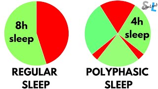 I Slept for 4 Hours a Day for 100 Days  My Polyphasic Sleep Experiment [upl. by Attenauq]