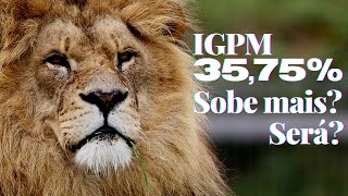 IGPM mês Junho acumulado de 12 meses e do ano 2021 [upl. by Niamert747]