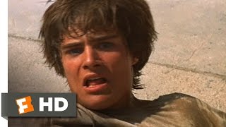 Romeo and Juliet 69 Movie CLIP  Romeo Kills Tybalt 1968 HD [upl. by Valerio]