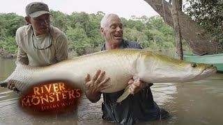 Incredible REEL TIME Arapaima Catch  ARAPAIMA  River Monsters [upl. by Arries675]