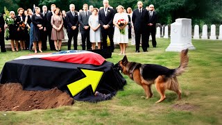 They Opened a Coffin Because of a Dogs Bark What They Found Inside Will Shock You [upl. by Minsat]