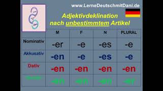 Deutsch lernen Adjektivdeklination nach unbestimmtem Artikel [upl. by Eleanore]