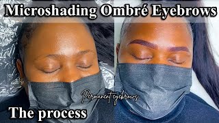 Microshading Ombre Eyebrows step by step Process  Permanent Eyebrows microshading [upl. by Broek]