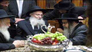 Rabbi Nusen Tzvi Finkel visits Satmar Rebbe [upl. by Annawoj]