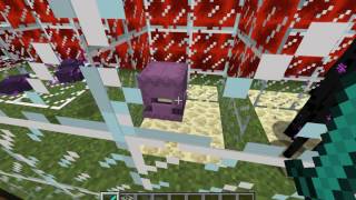 Vanilla Minecraft  The End Enemy Mobs Tutorial [upl. by Hgiel]