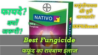 Best Fungicide Bayer Nativo Full specificationsसबसे बड़ियां फफूंदीनासक बायर नाटिवो की पूरी जानकारी [upl. by Carlye576]