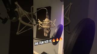 The Neumann TLM 103 is one of the best microphones ever made 🔥🔥🔥 bolodaproducer [upl. by Emyaj]