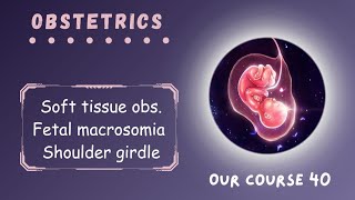 Rev Soft tissue obs  Fetal macrosomia amp Shoulder dystocia  Page 220  224  Obstetrics Module 40 [upl. by Aninnaig453]