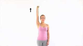 How to do a triceps curl with a band part 1 [upl. by Amikahs]