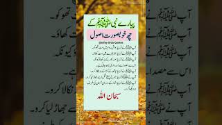 pyary nabi ky chay asool quotes islamicshorts deenvibe deensayings duaqabool [upl. by Descombes]