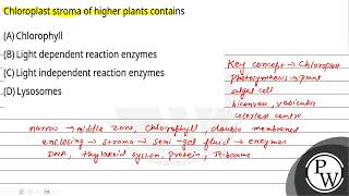 Chloroplast stroma of higher plants contains [upl. by Leba972]