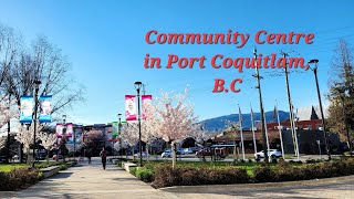 Port Coquitlam Community Centre British Columbia Canada spring2023 cherryblossom quickvisit [upl. by Manheim614]