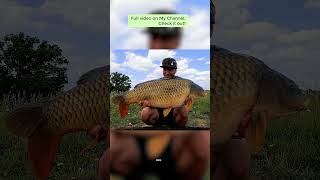 Berners HallBCAC Biggest Fish 34LB fishing carpfishingangling carper [upl. by Masterson]