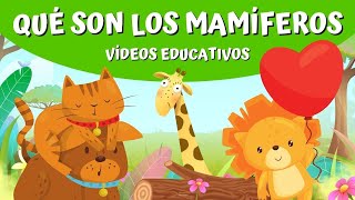 ANIMALES MAMÍFEROS ¿Qué son los mamíferos [upl. by Eatnoj626]